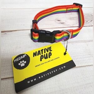 Native Pup Rainbow Flag Dog Collar Size Medium - New With Tags